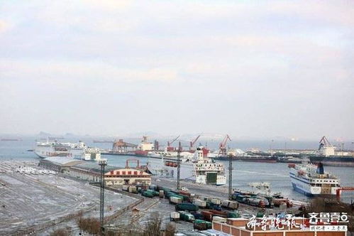 渤海湾省际客运航线8日恢复通航 多艘客滚船驶离码头